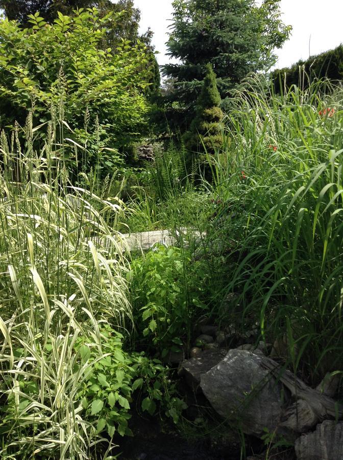 All Seasons Bed & Breakfast Kelowna Bagian luar foto